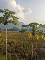 152. Spaziergang Mai Chau &ndash; &copy; Teresa Rumpel (Eberhardt TRAVEL)