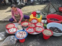 371. Marktbesuch Can Tho &ndash; &copy; Teresa Rumpel (Eberhardt TRAVEL)