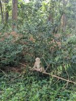 453. Angkor Thom &ndash; &copy; Teresa Rumpel (Eberhardt TRAVEL)