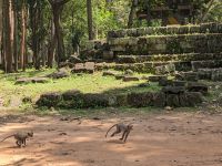 454. Angkor Thom &ndash; &copy; Teresa Rumpel (Eberhardt TRAVEL)