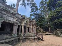 464. Ta Prohm Tempel &ndash; &copy; Teresa Rumpel (Eberhardt TRAVEL)