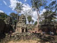 470. Ta Prohm Tempel &ndash; &copy; Teresa Rumpel (Eberhardt TRAVEL)