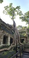 &copy; Franziska Bergmann (Eberhardt TRAVEL)