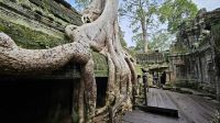&copy; Franziska Bergmann (Eberhardt TRAVEL)