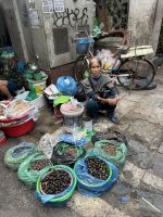 ...auf dem Markt in Hanoi (6) &ndash; &copy; Willi Thomas Krupp (Eberhardt TRAVEL)