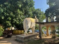 Prasat Bakong &ndash; &copy; Willi Thomas Krupp (Eberhardt TRAVEL)