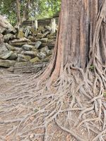  Boeng Mealea &ndash; &copy; Jürgen Müller (Eberhardt TRAVEL)