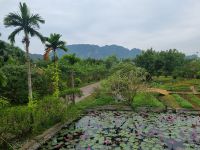 Ninh Binh (