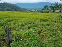 Mai Chau  &ndash; &copy; Katrin Deutschbein (Eberhardt TRAVEL)
