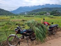Mai Chau (Reisfelder) &ndash; &copy; Katrin Deutschbein (Eberhardt TRAVEL)