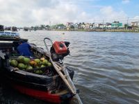 Mekong-Delta (