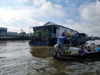 Mekong-Delta (