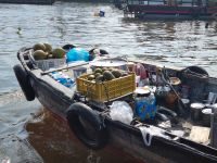 Mekong-Delta (