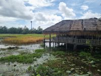 Kompong Thom (Prey Pros See) &ndash; &copy; Katrin Deutschbein (Eberhardt TRAVEL)