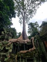 Siem Reap (Tempel 