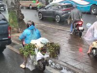 Vietnam. Hanoi &ndash; &copy; Heike Jack (Eberhardt TRAVEL)