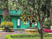 Vietnam. Hanoi. Pomelo  &ndash; &copy; Heike Jack (Eberhardt TRAVEL)