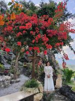 Vietnam. Fotoshooting  &ndash; &copy; Heike Jack (Eberhardt TRAVEL)