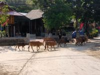 Vietnam. Spaziergänger &ndash; &copy; Heike Jack (Eberhardt TRAVEL)