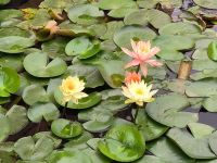 Vietnam. Emeralda Resort  &ndash; &copy; Heike Jack (Eberhardt TRAVEL)