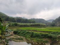 Vietnam. Reisfelder &ndash; &copy; Heike Jack (Eberhardt TRAVEL)
