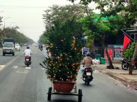 Vietnam. Transportmittel Nr. 1 &ndash; &copy; Heike Jack (Eberhardt TRAVEL)