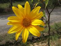 Da Lat &ndash; &copy; Ralf Kuchenbecker (Eberhardt TRAVEL)