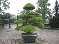 Hue - Kaiserpalast &ndash; &copy; Ralf Kuchenbecker (Eberhardt TRAVEL)
