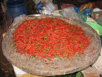 Hue - Markt &ndash; &copy; Ralf Kuchenbecker (Eberhardt TRAVEL)