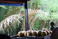 Mekong Delta &ndash; &copy; Annett Müller (Eberhardt TRAVEL)