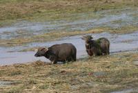 IMG_2029 &ndash; &copy; Annett Müller (Eberhardt TRAVEL)