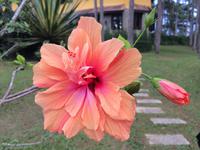 342 Impressionen Dalat &ndash; &copy; Ngoc Anh Nguyen (Eberhardt TRAVEL)