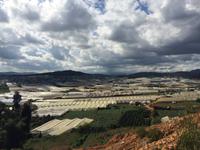430 Dalat &ndash; &copy; Ngoc Anh Nguyen (Eberhardt TRAVEL)