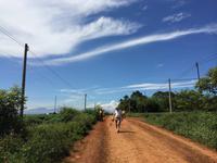 553 &ndash; &copy; Ngoc Anh Nguyen (Eberhardt TRAVEL)