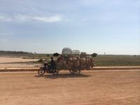 848  Weg nach Siem Reap &ndash; &copy; Ngoc Anh Nguyen (Eberhardt TRAVEL)