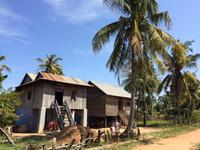 855 &ndash; &copy; Ngoc Anh Nguyen (Eberhardt TRAVEL)
