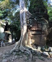 957 &ndash; &copy; Ngoc Anh Nguyen (Eberhardt TRAVEL)