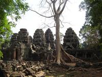 Dschungeltempel &ndash; &copy; Ngoc Anh Nguyen (Eberhardt TRAVEL)