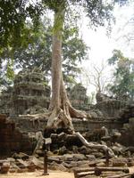 Dschungeltempel &ndash; &copy; Ngoc Anh Nguyen (Eberhardt TRAVEL)
