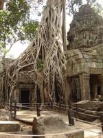 Dschungeltempel &ndash; &copy; Ngoc Anh Nguyen (Eberhardt TRAVEL)