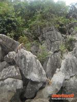 ffchen in Sicht &ndash; &copy; Ngoc Anh Nguyen (Eberhardt TRAVEL)