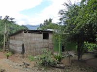 Longhouse &ndash; &copy; Sabine Letzybyll (Eberhardt TRAVEL)