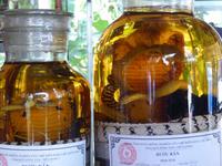 Schlangenschnaps &ndash; &copy; Sabine Letzybyll (Eberhardt TRAVEL)