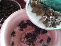 Marktbesuch &ndash; &copy; Sabine Letzybyll (Eberhardt TRAVEL)