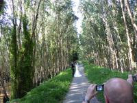 Brautpaar &ndash; &copy; Sabine Letzybyll (Eberhardt TRAVEL)
