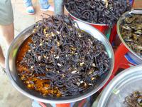gegrillte Insekten &ndash; &copy; Sabine Letzybyll (Eberhardt TRAVEL)