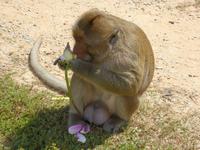 Angkor Wat &ndash; &copy; Sabine Letzybyll (Eberhardt TRAVEL)