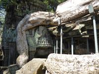 Dschungeltempel Banteay Kdei &ndash; &copy; Sabine Letzybyll (Eberhardt TRAVEL)