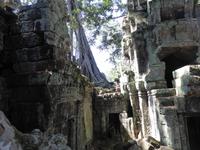 Dschungeltempel Banteay Kdei &ndash; &copy; Sabine Letzybyll (Eberhardt TRAVEL)