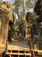 Naturspektakel &ndash; &copy; Peter Wagner (Eberhardt TRAVEL)